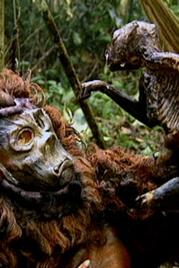 Poster de Curta Segredos da mata (1998)