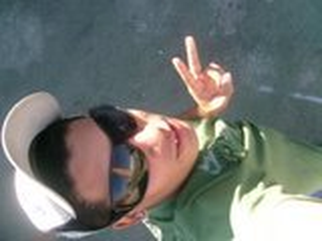 wellington - Foto 1
