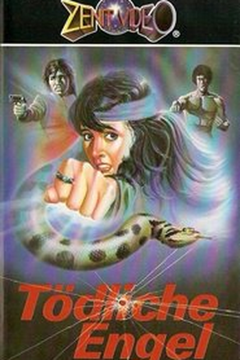 Poster de Filme Deadly Angels Strike Back (1981)