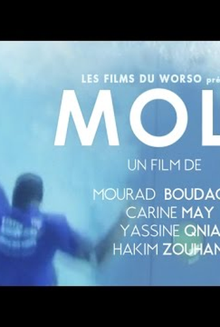 Poster 1 de Curta Molii (2013)