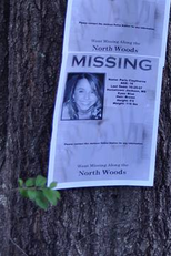 The House of Covered Mirrors (The House of Covered Mirrors)