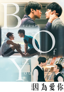 Because of You (因為愛你)