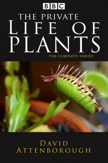  de Série A Vida Privada Das Plantas (1995)
