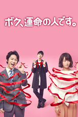 Boku, Unmei no Hito Desu (ボク、運命の人です。)