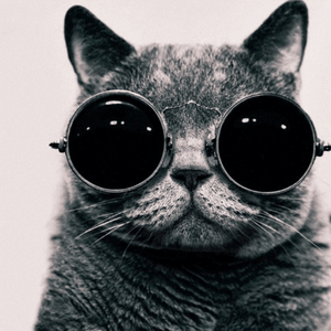 Foto de perfil de Carlos Menotti