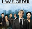 Lei & Ordem (18ª Temporada)