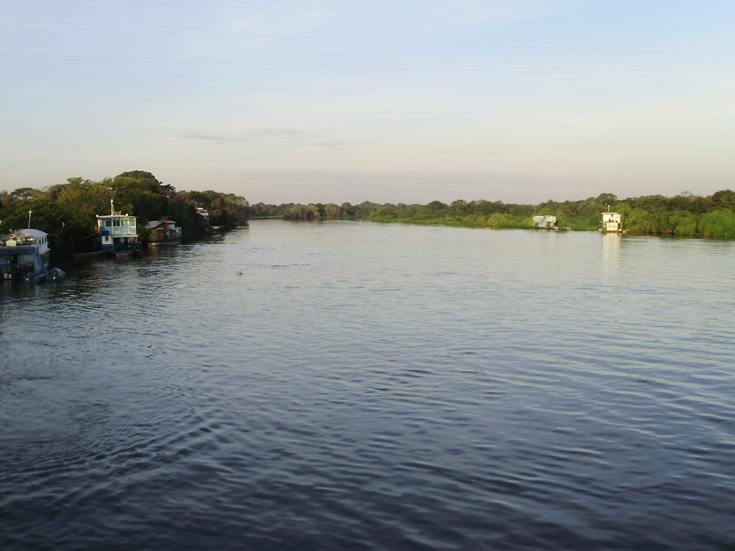 Rodrigues - Foto 1
