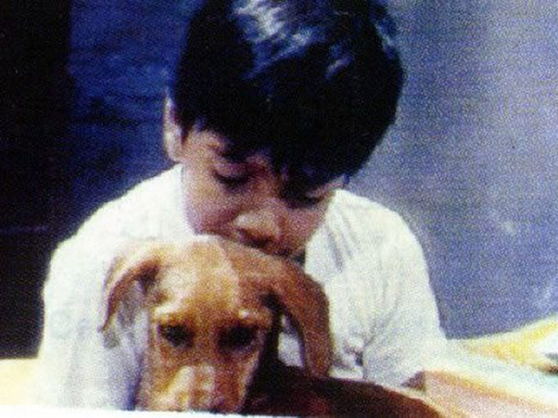 Foto 118 de Carrossel