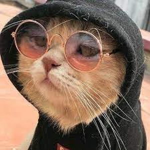 Foto de perfil de Caleb