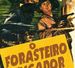 O Forasteiro Vingador