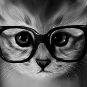 Foto de perfil de Assis