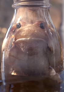 Locked Up (Locked Up)