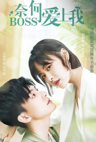 Poster 1 de Série Well Staged Love (2022)