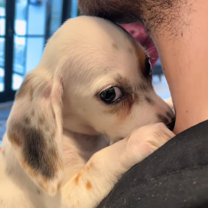 Foto de perfil de marica