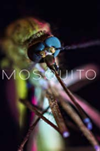  de Filme Mosquito: Uma Ameaça no Ar (2017)