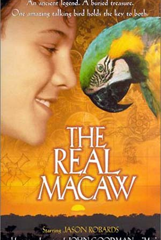 Poster 1 de Filme Mac Na Trilha do Tesouro (1998)