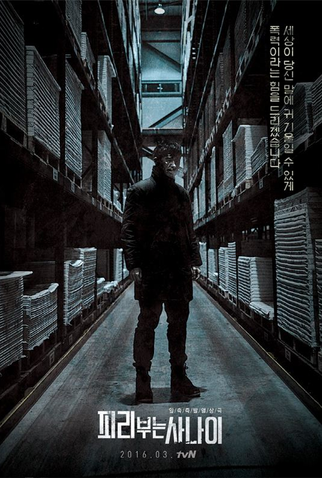 Poster 3 de Série Pied Piper (2016)