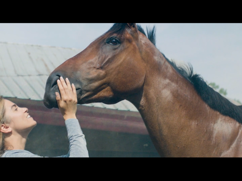 Foto 18 de Inseparáveis