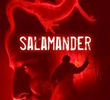 Salamander