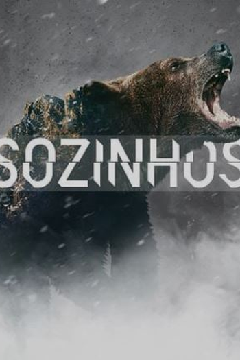 Poster de Série Sozinhos (1ª Temporada) (2015)