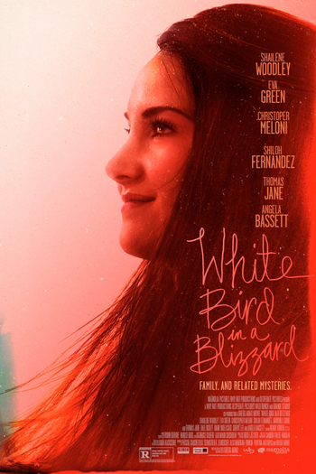  de Filme Pássaro Branco na Nevasca (2014)