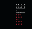 Calvin Harris Feat. Disciples: How Deep is Your Love