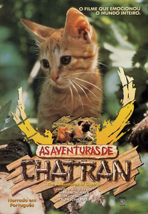 As Aventuras de Chatran (子猫物語)