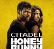 CITADEL: Honey Bunny