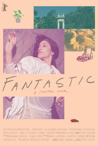 Poster 1 de Filme Fantastic (2016)