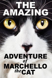 The Amazing Adventure of Marchello The Cat - Poster / Capa / Cartaz - Oficial 2