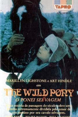 O Pônei Selvagem (Ride a Wild Poney)