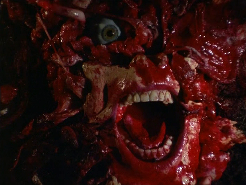 Foto 2 de Necrophobia