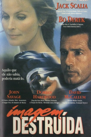 Poster de Filme Imagem Destruída (1994)