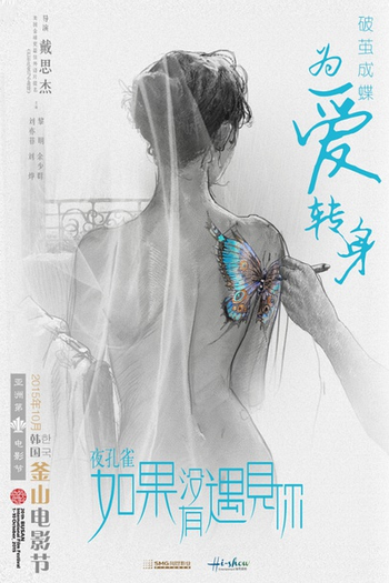 Poster de Filme Le Paon de Nuit (2015)