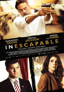 Busca Desesperada (Inescapable)