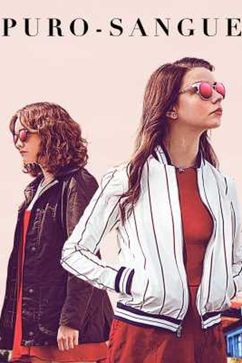  de Filme Puro-Sangue (2017)