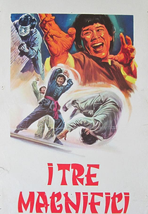 Os 3 Magníficos Do Karatê (Shi duan gao shou)