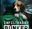 Infiltrada no Bunker