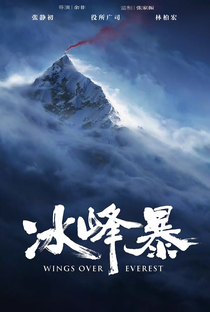 Wings Over Everest - Poster / Capa / Cartaz - Oficial 5