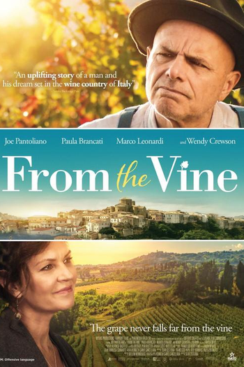  de Filme A Vinícola dos Sonhos (2019)