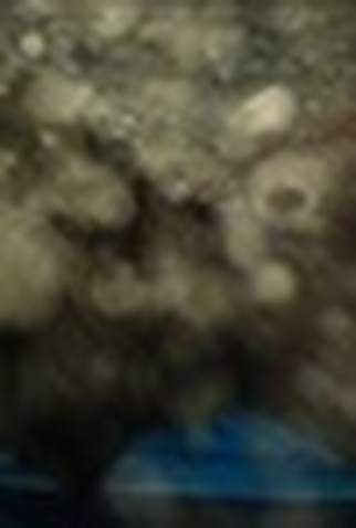 Poster 1 de Curta Peixe (2014)