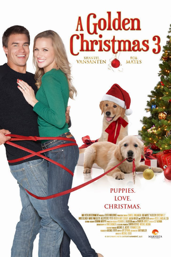 Poster de Filme Amor de Natal (2012)