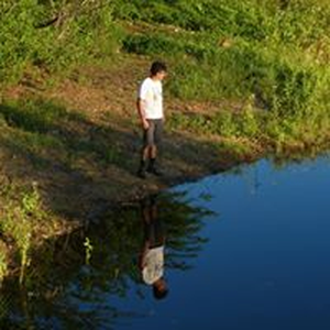 Foto de perfil de Alexandre