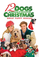 Os 12 Cães de Natal: O Grande Resgate (12 Dogs of Christmas: Great Puppy Rescue)
