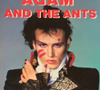 Adam & the Ants: Prince Charming