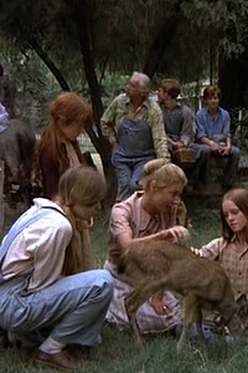 Poster de Episódio The Fawn (1973)
