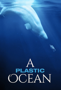 Oceanos de Plástico - Poster / Capa / Cartaz - Oficial 2