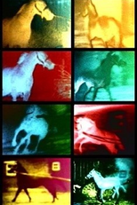 Berlin Horse (Berlin Horse)