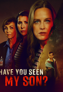 My Kidnapped Son (My Kidnapped Son)