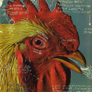 Foto de perfil de João César S. Matias